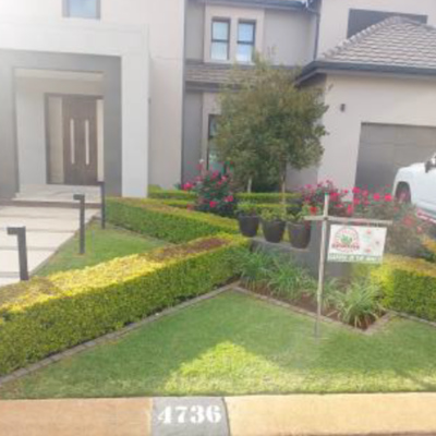 Garden-of-the-Month-&ndash;-4736-Nelanga-Street