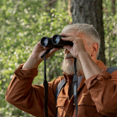 birdwatching