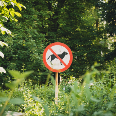 Responsible-Pet-Ownership